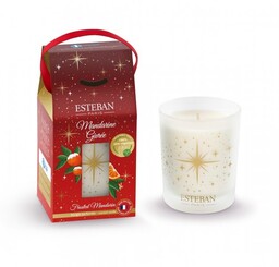 Esteban PARIS Świąteczna Świeca Zapachowa 180 g /