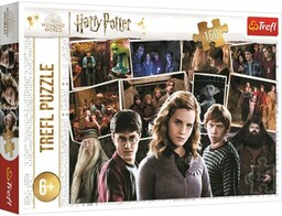 TREFL Puzzle Harry Potter i przyjaciele 15418 (160