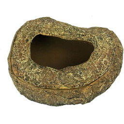 Gady - planeta pindu robak naczynie do terrarium,