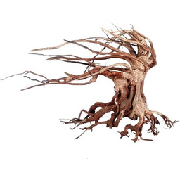 Croci Wood Oriental Wind 6 Small 1 Count