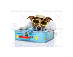 Wee Blue Coo Jack Russell pies wakacje pokrowiec