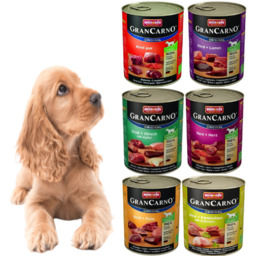 ANIMONDA Grancarno Adult Dog Wołowina + jagnięcina 800g