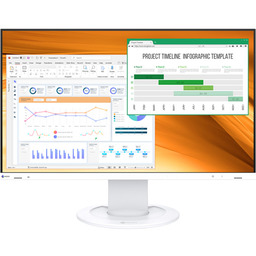 EIZO FlexScan EV2400R-WT (biały)
