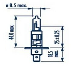 Żarówka 24V H1 70W 48702