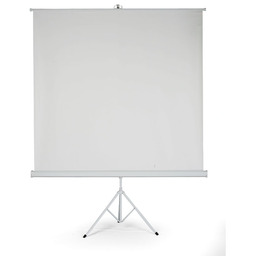 Ekran projekcyjny na statywie 2000x2000 mm