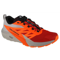Buty do biegania Salomon Sense Ride 5 M