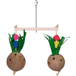 Nobby orzechy kokosowe z drążkiem do siedzenia