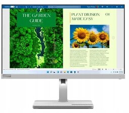 Monitor Led Lenovo L24m-40 23,8 " 1920 x