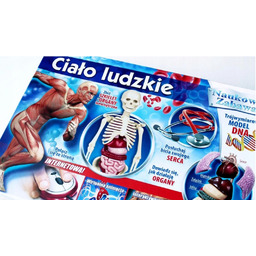 Poznaj cało ludzkie Zestaw dla dzieci Ciało ludzkie