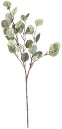 Gałązka Eukaliptusa 68cm, 10 x 5 x 68