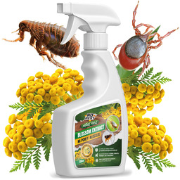 Wrotycz na kleszcze i pchły środek Blossom Extract