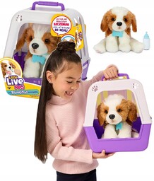Little Live Pets Interaktywny piesek z transporterkiem szczeniaczek