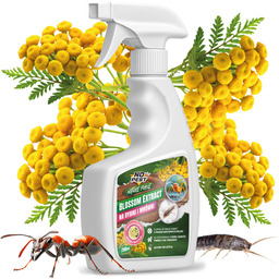 Środek na rybiki i mrówki z wrotyczu Blossom