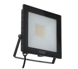 Loyal Lighting LY-FLE30 4250lm Naświetlacz