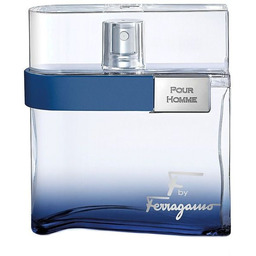 Salvatore Ferragamo F Pour Homme Free Time 100ml