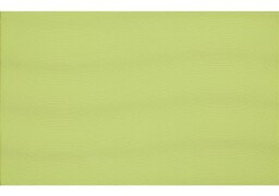 Płytka ścienna LIRA green glossy 25x40 gat.