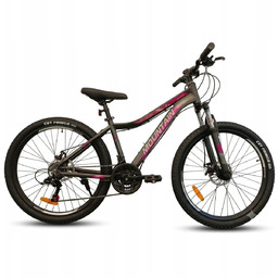 Rower młodzieżowy górski Mtb Mountain Alpina rama Alu