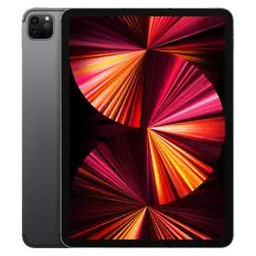 Apple iPad Pro 2021 11" 2TB Wi-Fi Cellular