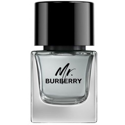 BURBERRY Mr. Burberry EDT spray 50ml