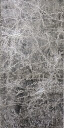 Chodnik nowoczesny Elite 4355 grey