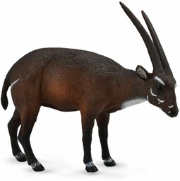 Collecta- Rysunek (88640)
