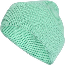 adidas Uniseks Terrex Multi Beanie Hat, pulse mint,