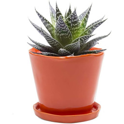 Chive Ceramiczne doniczki "Tika"  urocze, piękne doniczki