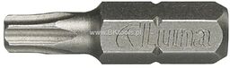 Luna Grot standardowy skrętny Torx T25 - 50