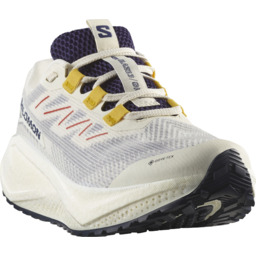 BUTY DAMSKIE SALOMON AERO BLAZE 3 GRVL GTX