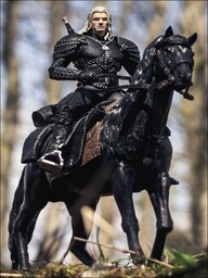 Geralt i Płotka, Wiedźmin - plakat Wymiar