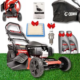 Kosiarka Cedrus KS53S-H Al 53CM Honda GCV200