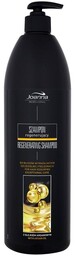Argan Oil Regenerating Hair Shampoo szampon regenerujący