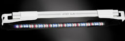 AQUAEL Leddy Slim 10W Plant biały 2.0