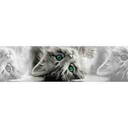 AGDesign Samoprzylepna bordiura, folia, 0,14 x 5 m