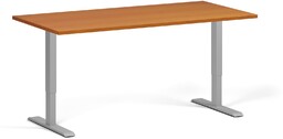 Biurko z regulacją wysokości, 160x80 cm, 1 silnik,