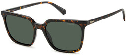 Polaroid PLD 4163/S Havana/Green Polarized