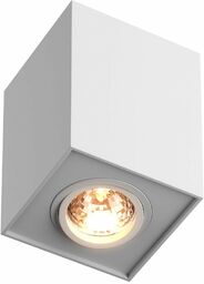 Oprawa sufitowa QUADRO H-89200-WH - Zuma Line