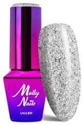 Lakier hybrydowy Molly Nails Luxury Glam Mr Silver