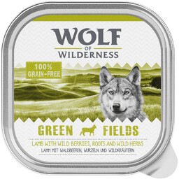 Wolf of Wilderness Adult, 6 x 300 g