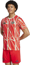 Koszulka adidas FC Bayern Pre-Match JSY JD8335 czerwony