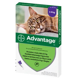 BAYER ADVANTAGE dla kota powyżej 4kg 10,8ml 1