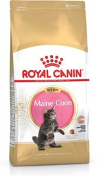 Royal Canin FBN Maine Coon Kitten - sucha