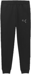 PUMA TeamGOAL Spodnie CE PUMA czarne