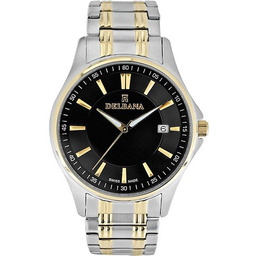 Delbana 52702.360.6.031