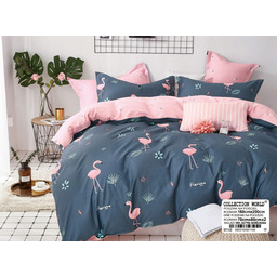 Komplet pościeli Collection World 160x200 2 poduszkI 70x80cm