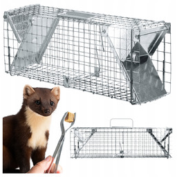 Pułapka Żywołapka Na Kuny Szczury Łasice Zanęta Poradnik