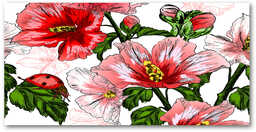 Foto obraz szkło hartowane Hibiskus