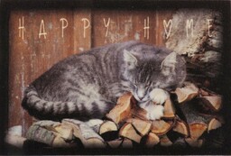 oKu-Tex Designerska wycieraczka Happy Home śpiący kot, zabawny