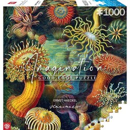 CENEGA Puzzle Good Loot Imagination Ernst Haeckel Stworzenia