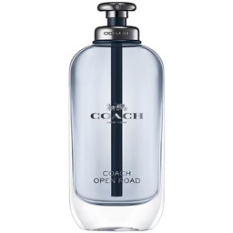 Open Road woda toaletowa spray 100ml